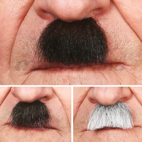 Bigode Pequeno 