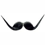 Bigode Dalli  Qualidade PROF