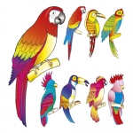 Decorao Aves Tropicais PACK 8