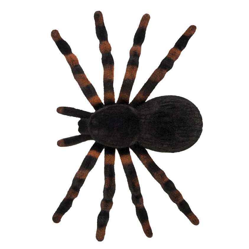 Tarantula Pack de 4